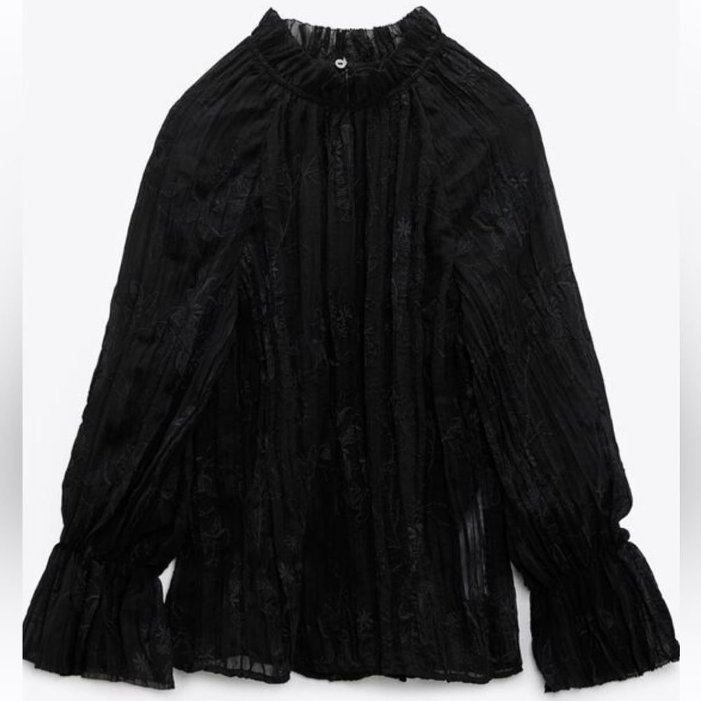 ZARA embroidered semi-sheer blouse